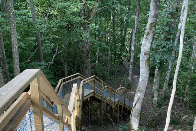 En trätrappa med räcken i en skog.