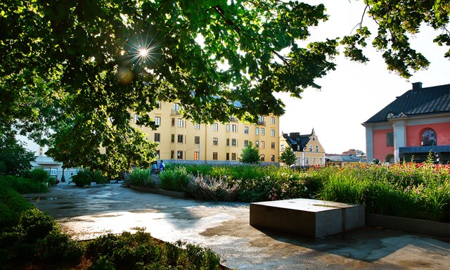 Hörsalsparken i Norrköping. Foto: Peter Holgersson