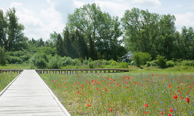 naturmiljoer_1000.jpg