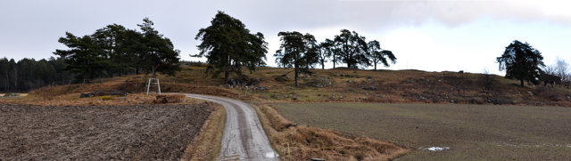 1. Förstahandsval_Ostlanken.jpg
