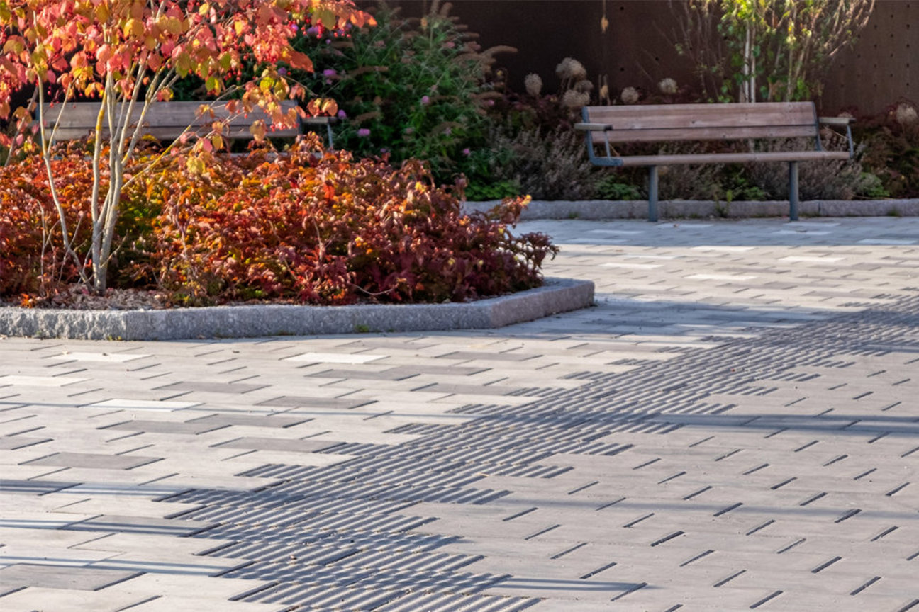 En park med bänkar, buskar med höstfärgade blad och en stenlagd gång.