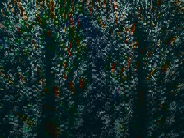geran-de-klerk-hl7ILaqrOqI-unsplash.jpg
