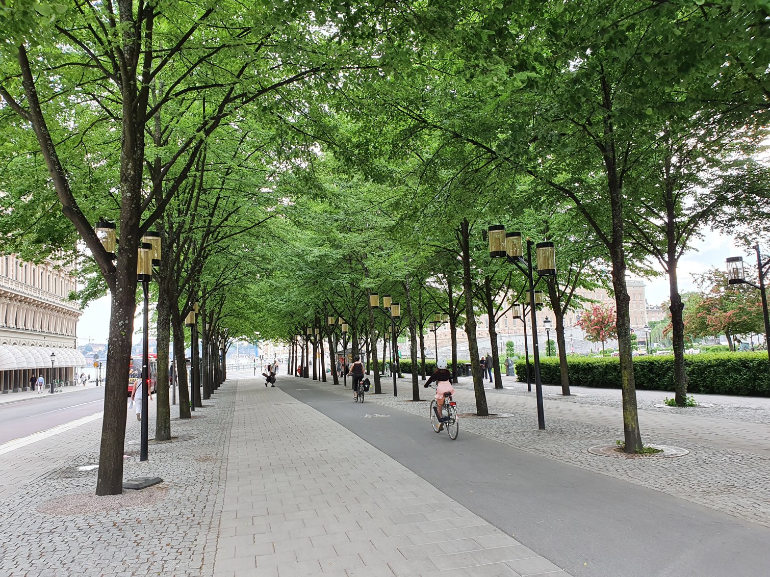 Att pendla med cykel är ett bra och hållbart, men det gäller att göra det enkelt och självklart att cykla. Här den nya cykelbanan i Kungsträdgården, Stockholm. 