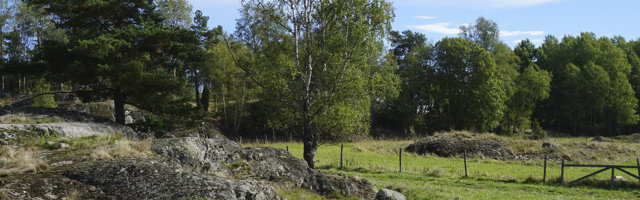 Landskapsarkitektur Tvärförbindelsen 3