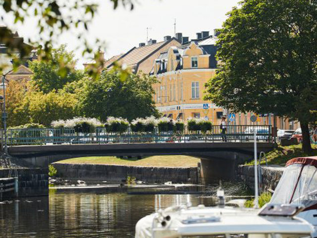 Amal Hamn