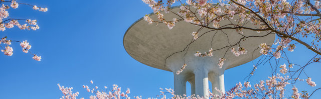 Foto som visar en bild på vattntornet i Hyllie vattenpark i Malmö. Med på bilden är också ett sakura körsbärsträd med grenar täckta av rosa blommor.