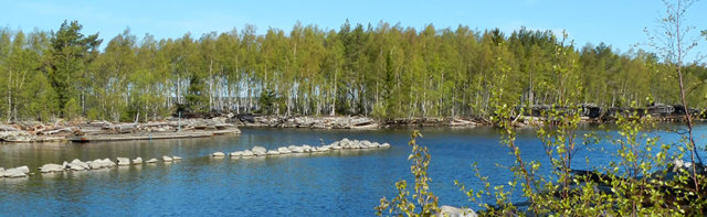 Ekosystemtjänster