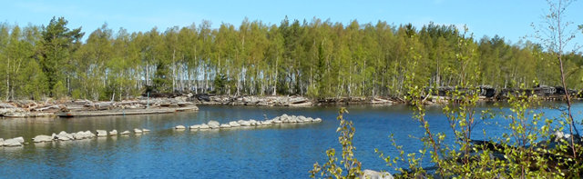 Foto som visar en sjö med skog i bakgrunden