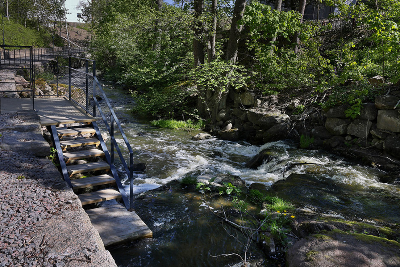 Flödande bäck med trätrappa och metallräcken omgiven av träd och stenar.
