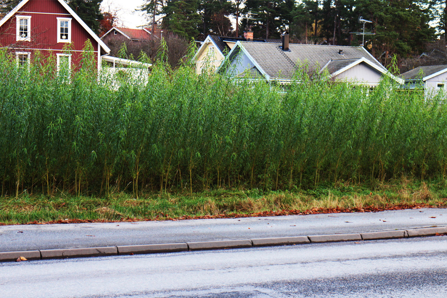 Järfälla kommun använder SmartMass