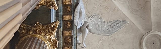 Lagad Vinge Detail