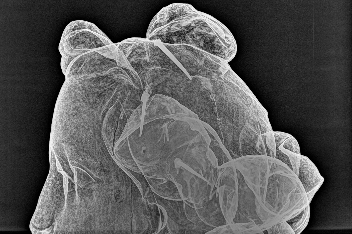 Hedvig Elenora kyrka röntgen av ängel