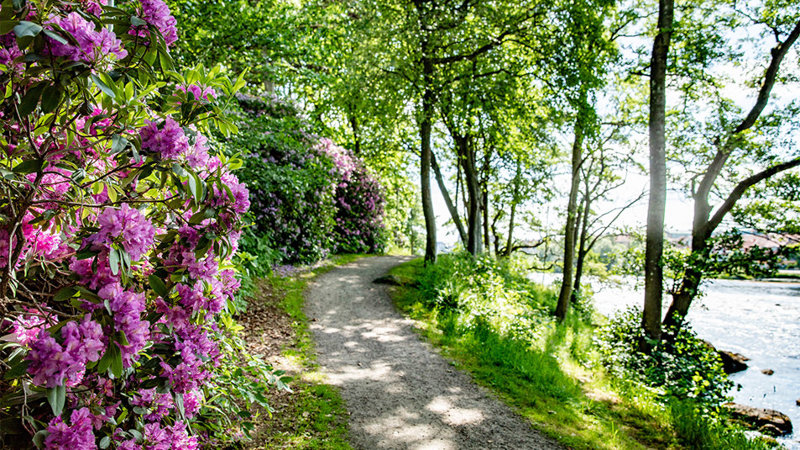 Doktorspromenaden Falkenberg