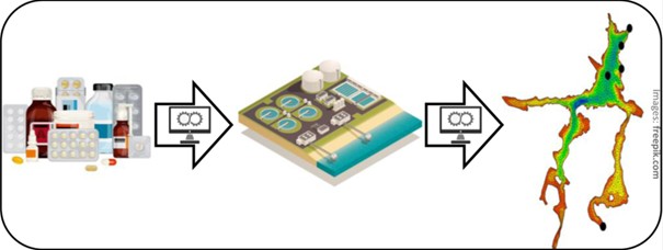 Grafisk illustration av ber&auml;kningsmetoden f&ouml;r koncentrationer i Ekoln utifr&aring;n l&auml;kemedelsdata och hydraulisk modellering. 