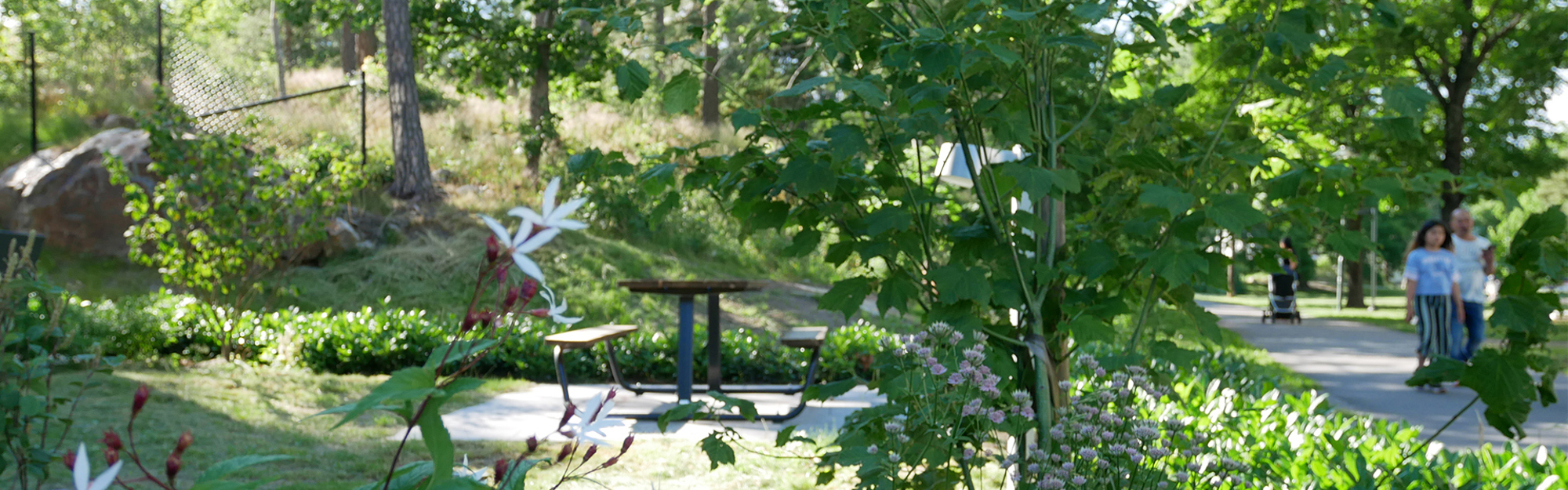 Grön park med picknickbänk, växter och några personer som går på en stig.