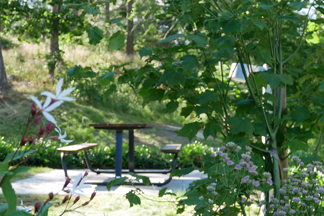 Grön park med picknickbänk, växter och några personer som går på en stig.