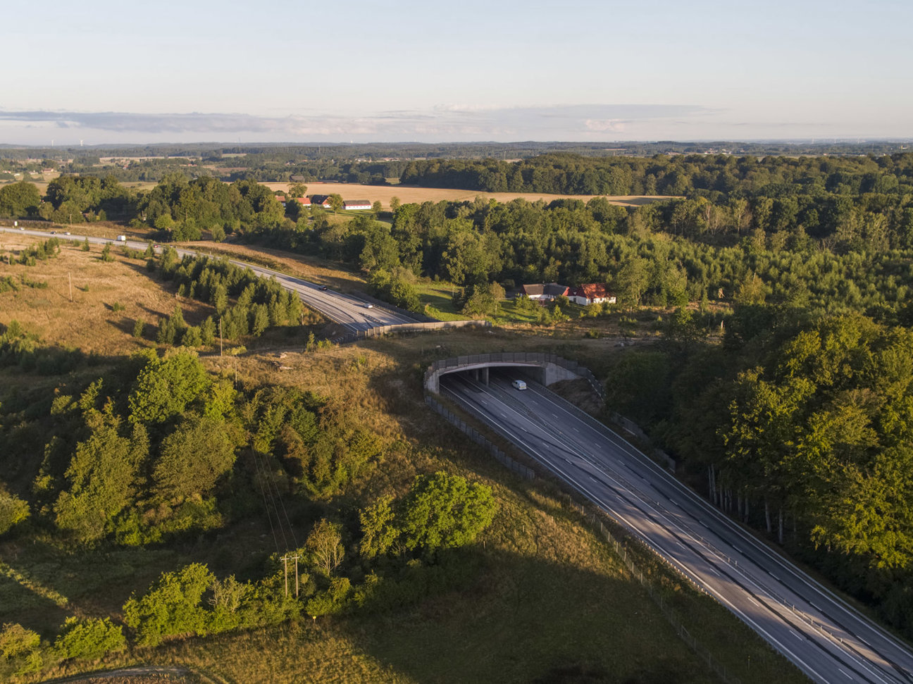 Motorväg med tunnel omgiven av skog och fält.