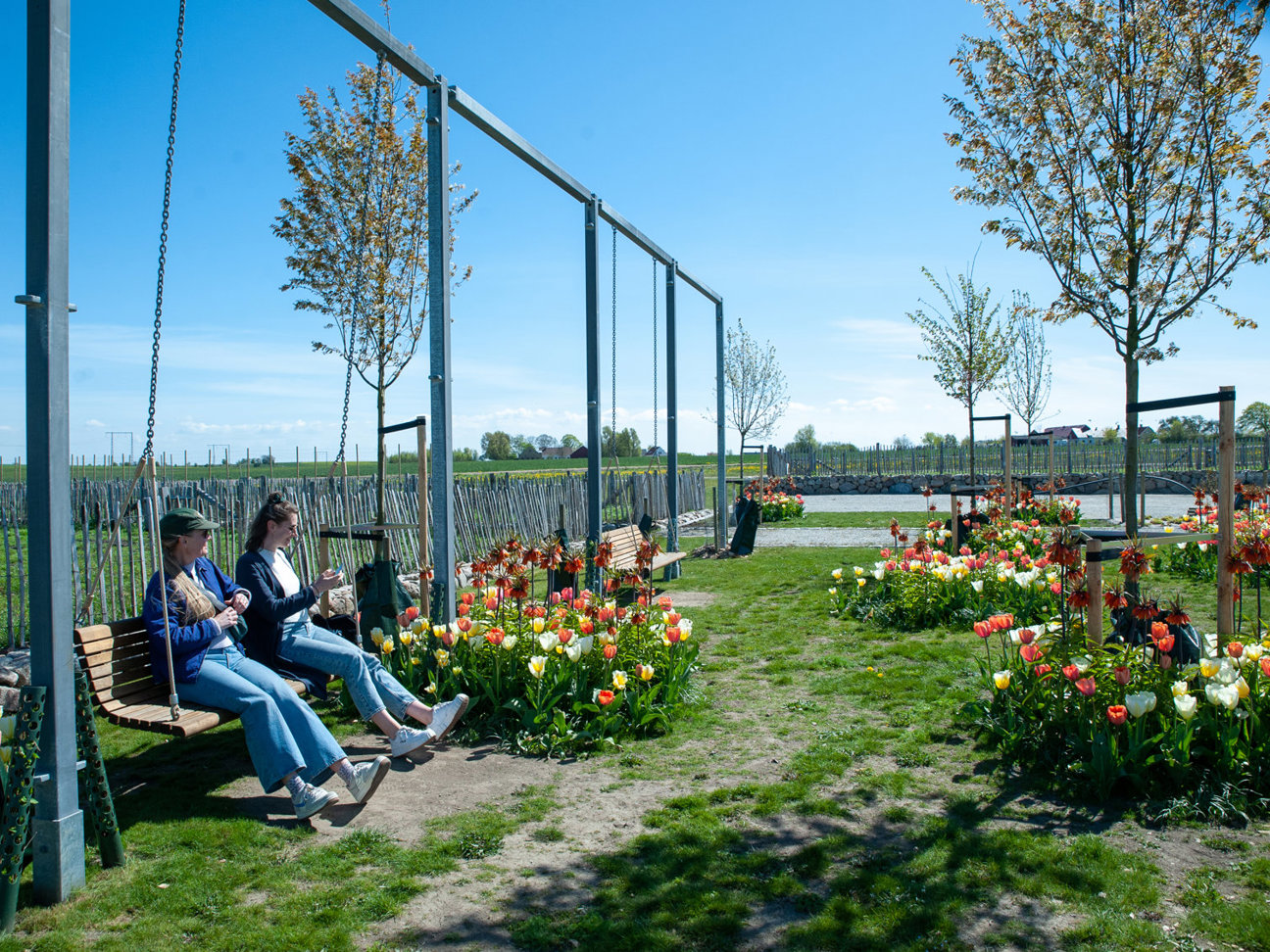 Två personer på en svängbänk omgiven av färgglada tulpaner, grönt gräs och träd under klar blå himmel.