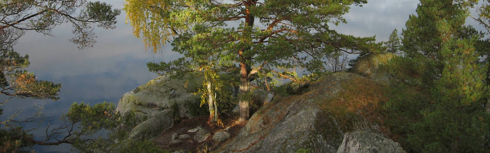 Steniga klippor med gröna träd och vatten i bakgrunden.