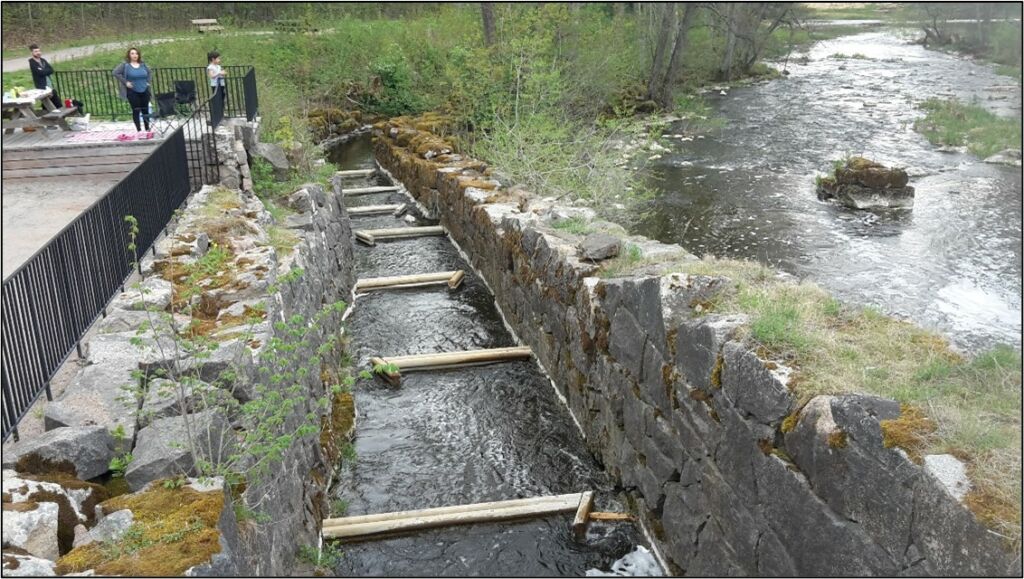 Fiskvandringsl&ouml;sning