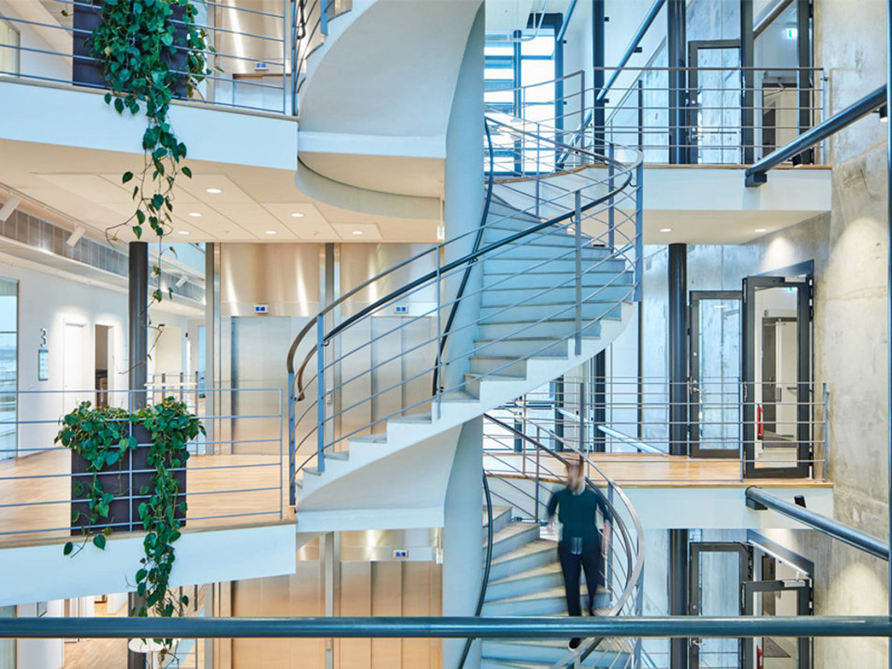 En spiraltrappa i en modern byggnad med en person som går nerför. Växter och glasväggar syns.