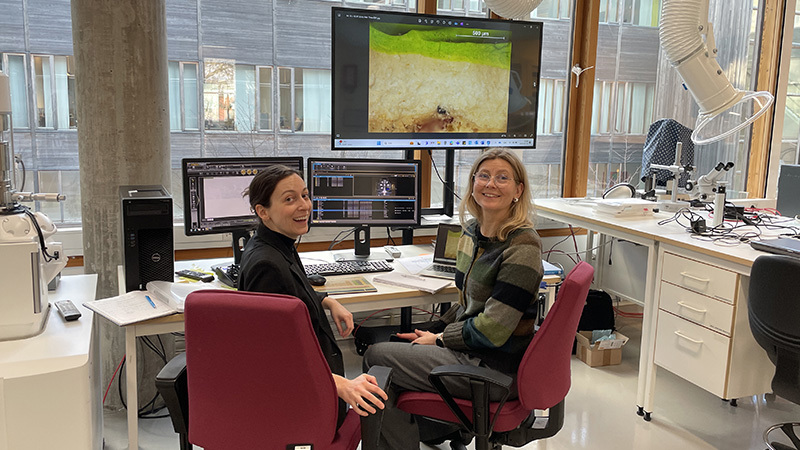 Riksantikvarieämbetets laboratorium i Visby